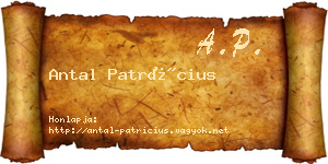 Antal Patrícius névjegykártya